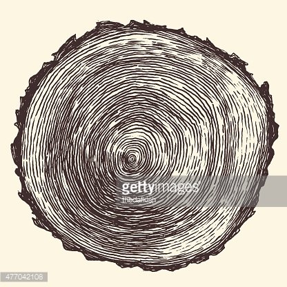 Tree Rings Engraved Annual Saw Vector Premium Clipart 416x416 Tree Rings Engraved Annual Saw Vector Premium Clipart
