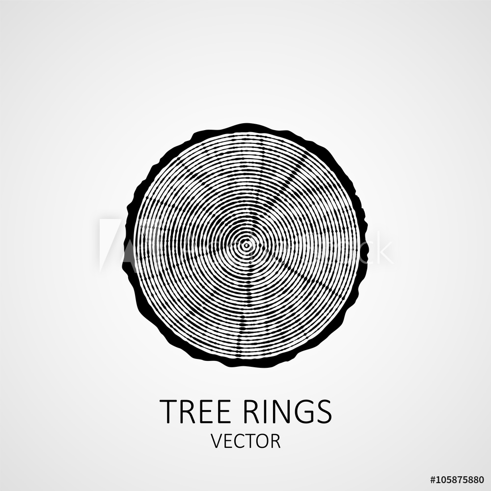 Annual Tree Rings Saw Cut Tree Trunk Vector Wood Texture Foto 1000x1000 Annual Tree Rings Saw Cut Tree Trunk Vector Wood Texture Foto