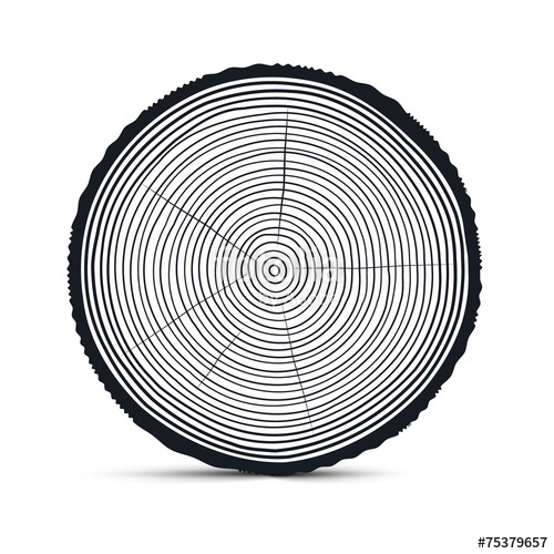 Tree Rings Vector Stock Image And Royalty Free Vector 500x500 Tree Rings Vector Stock Image And Royalty Free Vector