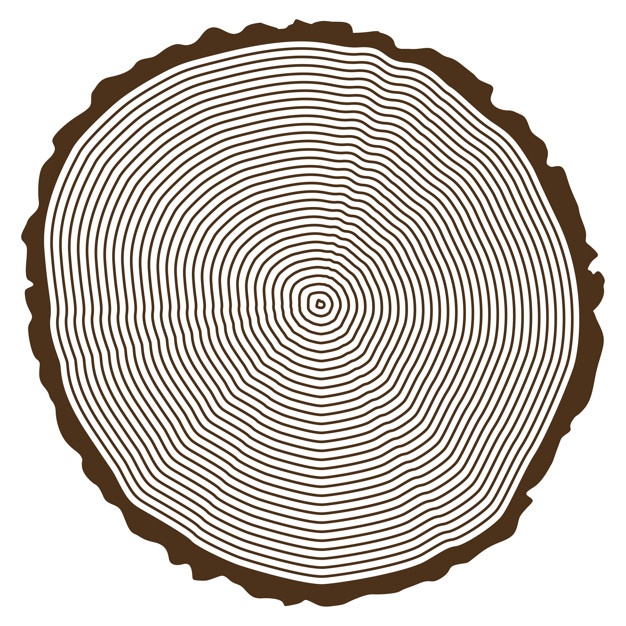 Tree Ring Design Vector Free Download 626x626 Tree Ring Design Vector Free Download