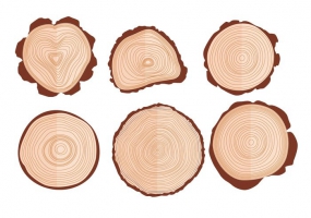Tree Ring Free Vector Graphic Art Free Download 285x200 Tree Ring Free Vector Graphic Art Free Download