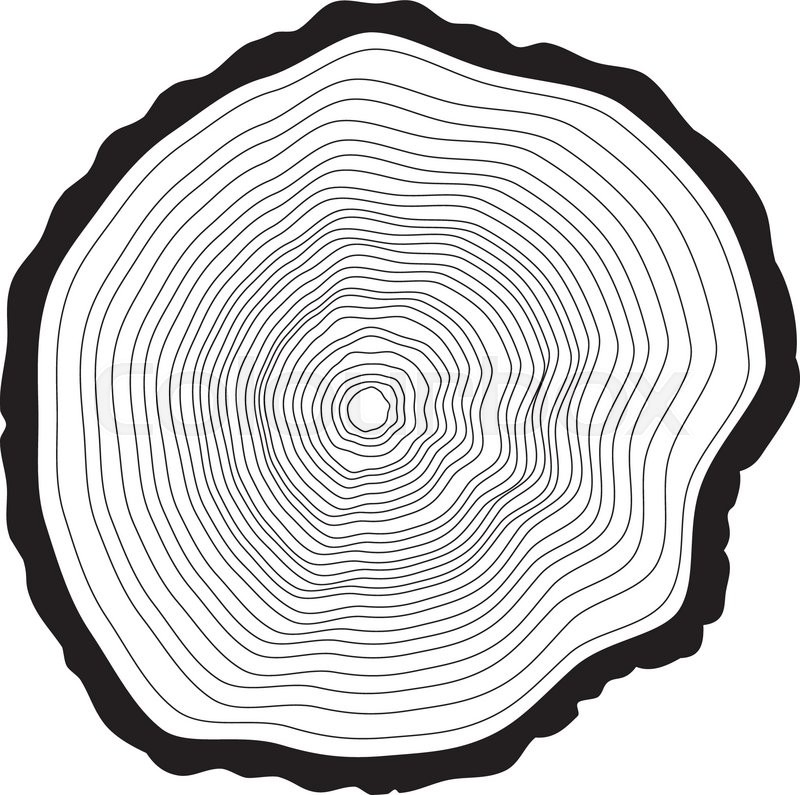Tree Rings Background Annual Tree Stock Vector Colourbox 800x795 Tree Rings Background Annual Tree Stock Vector Colourbox