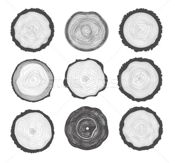 Collection Of Tree Rings Vector Illustration Robuart 600x559 Collection Of Tree Rings Vector Illustration Robuart