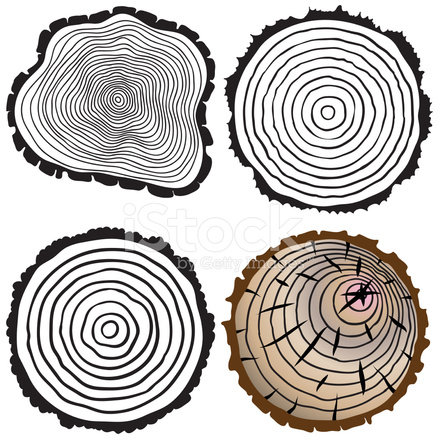 Vector Tree Rings Background And Saw Cut Tree Trunk Stock Vector 440x440 Vector Tree Rings Background And Saw Cut Tree Trunk Stock Vector