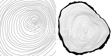 Vector Tree Rings Background And Tree Log Cutted Stock Vectors 380x190 Vector Tree Rings Background And Tree Log Cutted Stock Vectors