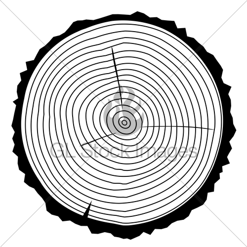 Vector Wood Rings Gl Stock Images 500x500 Vector Wood Rings Gl Stock Images