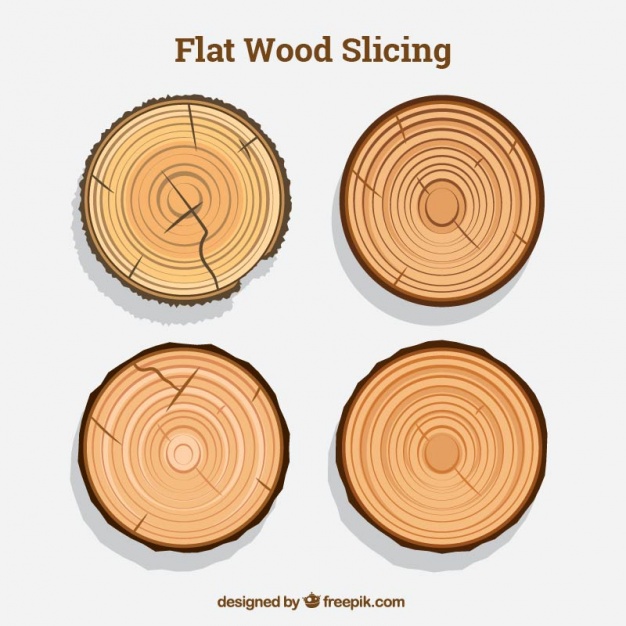 Collection Of Tree Rings Vector Free Download 626x626 Collection Of Tree Rings Vector Free Download