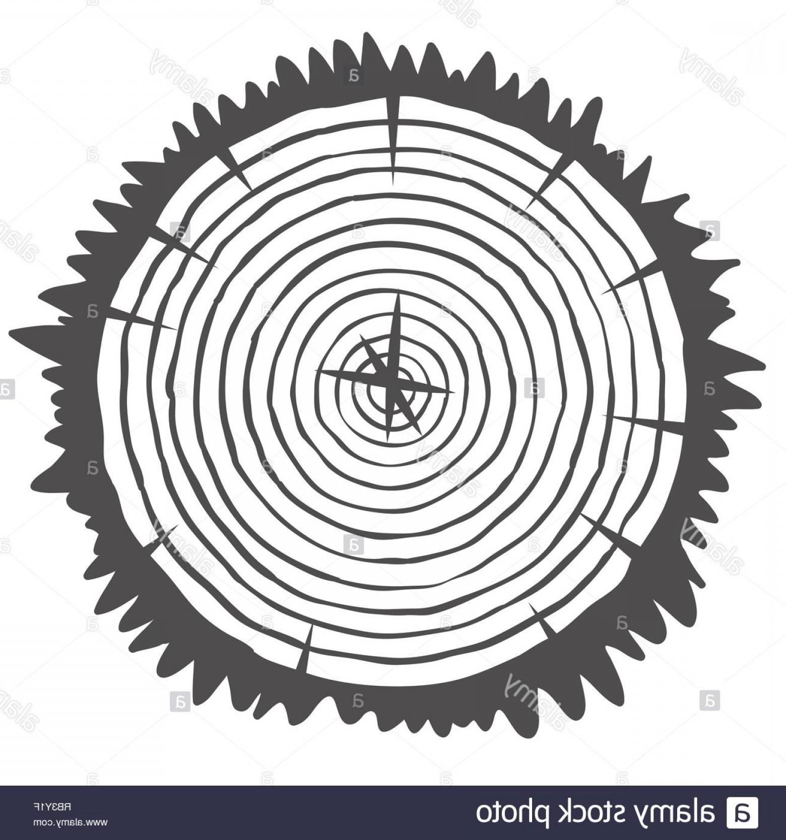 Conceptual Background With Tree Rings Vector Graphics Image 1560x1668 Conceptual Background With Tree Rings Vector Graphics Image