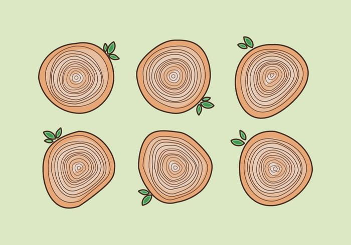 Free Tree Rings Vector Illustration 700x490 Free Tree Rings Vector Illustration