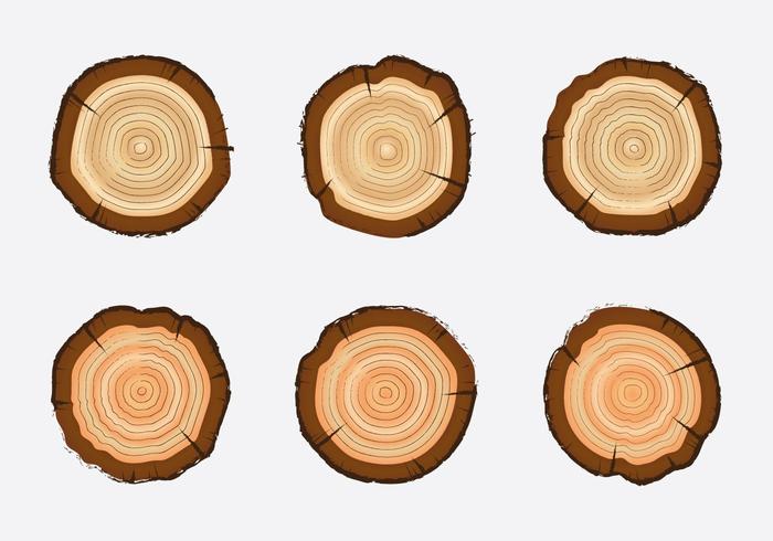 Free Tree Rings Vector Illustration 700x490 Free Tree Rings Vector Illustration