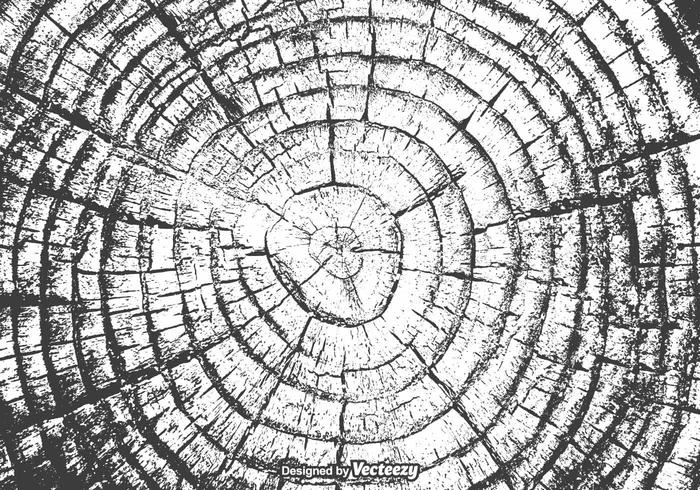 Free Tree Rings Vector Texture 700x490 Free Tree Rings Vector Texture