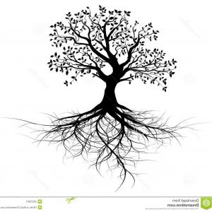 Tree Roots Silhouette Vector at Vectorified.com | Collection of Tree ...