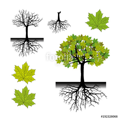 Realistic Tree Silhouette Tree Roots 500x500 Realistic Tree Silhouette Tree Roots