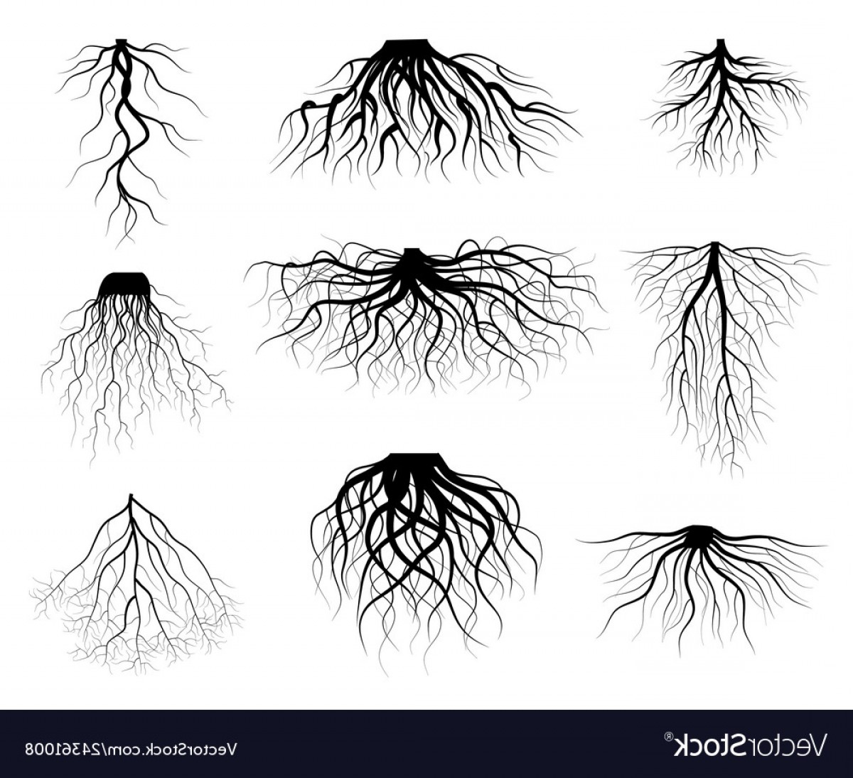 Tree Roots Silhouette Vector at Vectorified.com | Collection of Tree ...