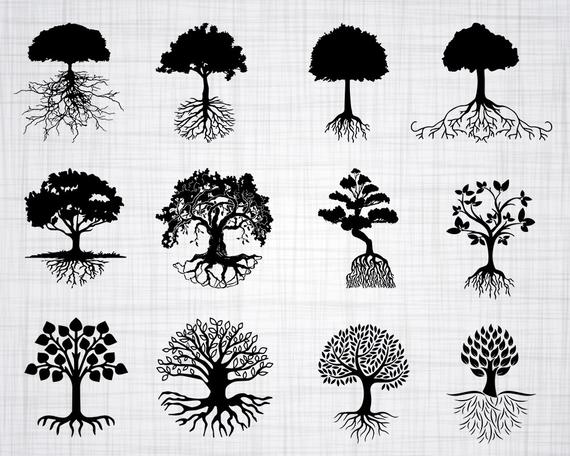 Tree With Roots Bundle Tree Roots Clipart Etsy 570x456 Tree With Roots Bundle Tree Roots Clipart Etsy