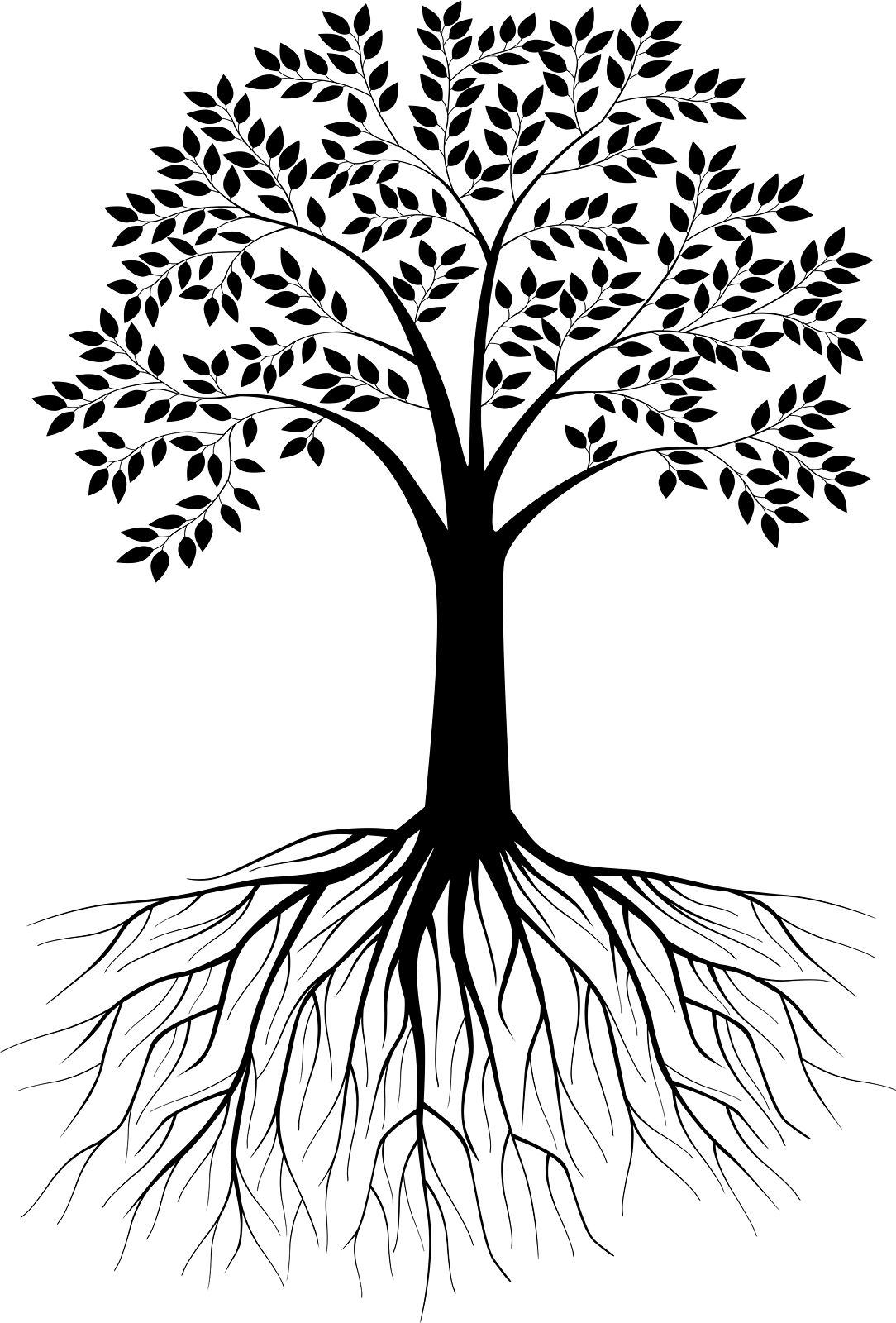 Black And White Tree Silhouette With Roots 1084x1600 Black And White Tree Silhouette With Roots
