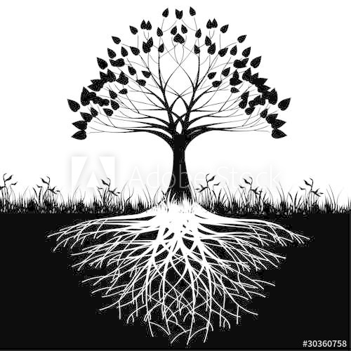 Tree Roots Silhouette 500x500 Tree Roots Silhouette