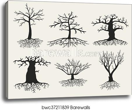 Vector Bare Tree Silhouettes With Roots, Canvas Print Barewalls 453x379 Vector Bare Tree Silhouettes With Roots, Canvas Print Barewalls