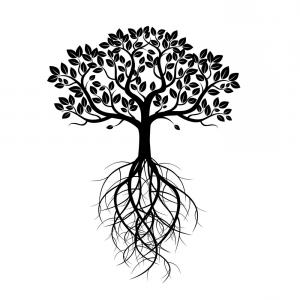 White Old Tree And Roots Vector Soidergi 300x300 White Old Tree And Roots Vector Soidergi