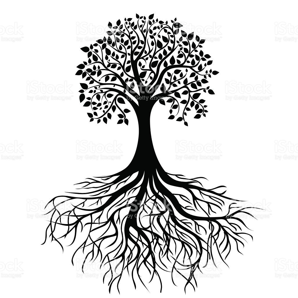 Whole Black Tree With Roots Isolated White Background Vector 1024x1024 Whole Black Tree With Roots Isolated White Background Vector