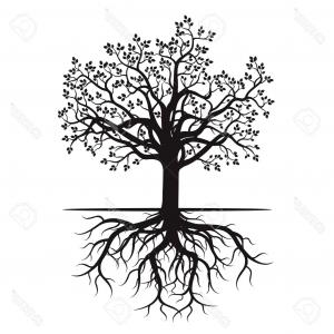 Photostock Vector Black Tree And Roots Vector Illustration 300x300 Photostock Vector Black Tree And Roots Vector Illustration