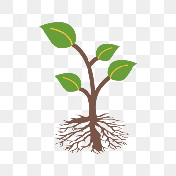 Roots Vector, Free Download Root, Tree Roots, Tree Root Vector Art 360x360 Roots Vector, Free Download Root, Tree Roots, Tree Root Vector Art