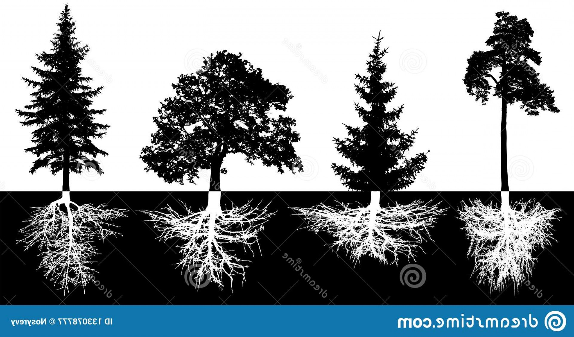 Set Trees Roots Vector Silhouette Forest Trees Pine Fir Tree 1920x1130 Set Trees Roots Vector Silhouette Forest Trees Pine Fir Tree