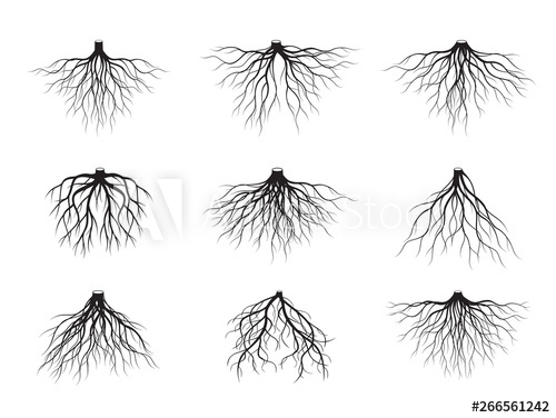 Set Of Black Tree Roots Vector Illustration 500x376 Set Of Black Tree Roots Vector Illustration