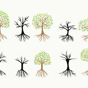 Tree With Roots Vector Icons Handandbeak 300x300 Tree With Roots Vector Icons Handandbeak