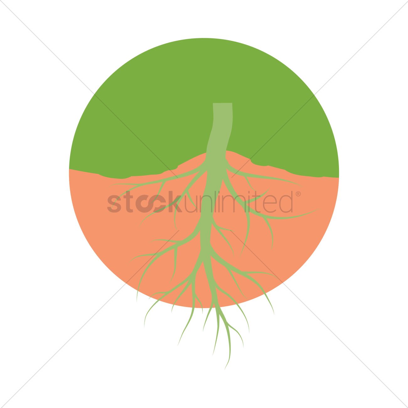 Tree Roots Vector Image 1300x1300 Tree Roots Vector Image