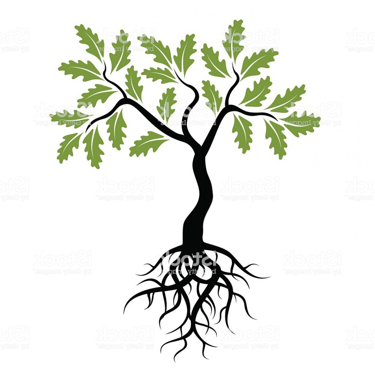 Дерево с корнями Сток вектор на прозрачном фоне