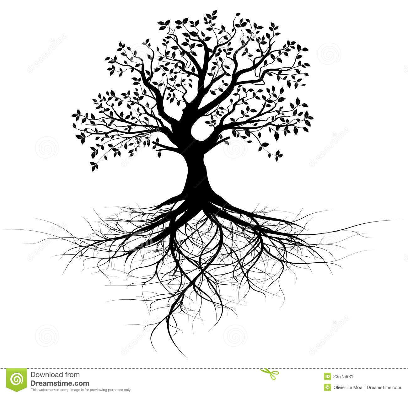 Whole Black Tree With Roots 1300x1262 Whole Black Tree With Roots