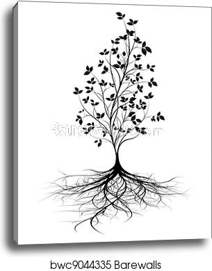Young Tree Roots, Vector Background, Canvas Print Barewalls 305x390 Young Tree Roots, Vector Background, Canvas Print Barewalls