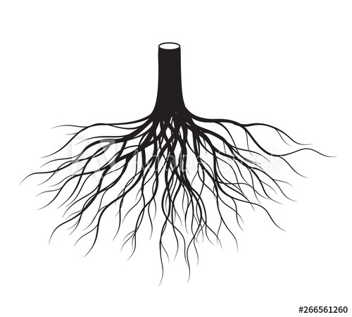 Black Tree Roots Vector Illustration 500x450 Black Tree Roots Vector Illustration