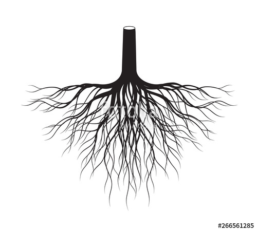 Black Tree Roots Vector Illustration Stock Image And Royalty 500x450 Black Tree Roots Vector Illustration Stock Image And Royalty