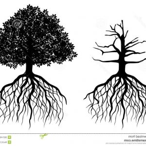 Black Tree With Leafs And Roots Vector Newwaysys 300x300 Black Tree With Leafs And Roots Vector Newwaysys