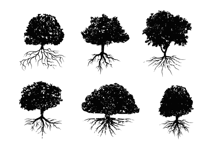 Distressed Tree With Roots Vector 700x490 Distressed Tree With Roots Vector