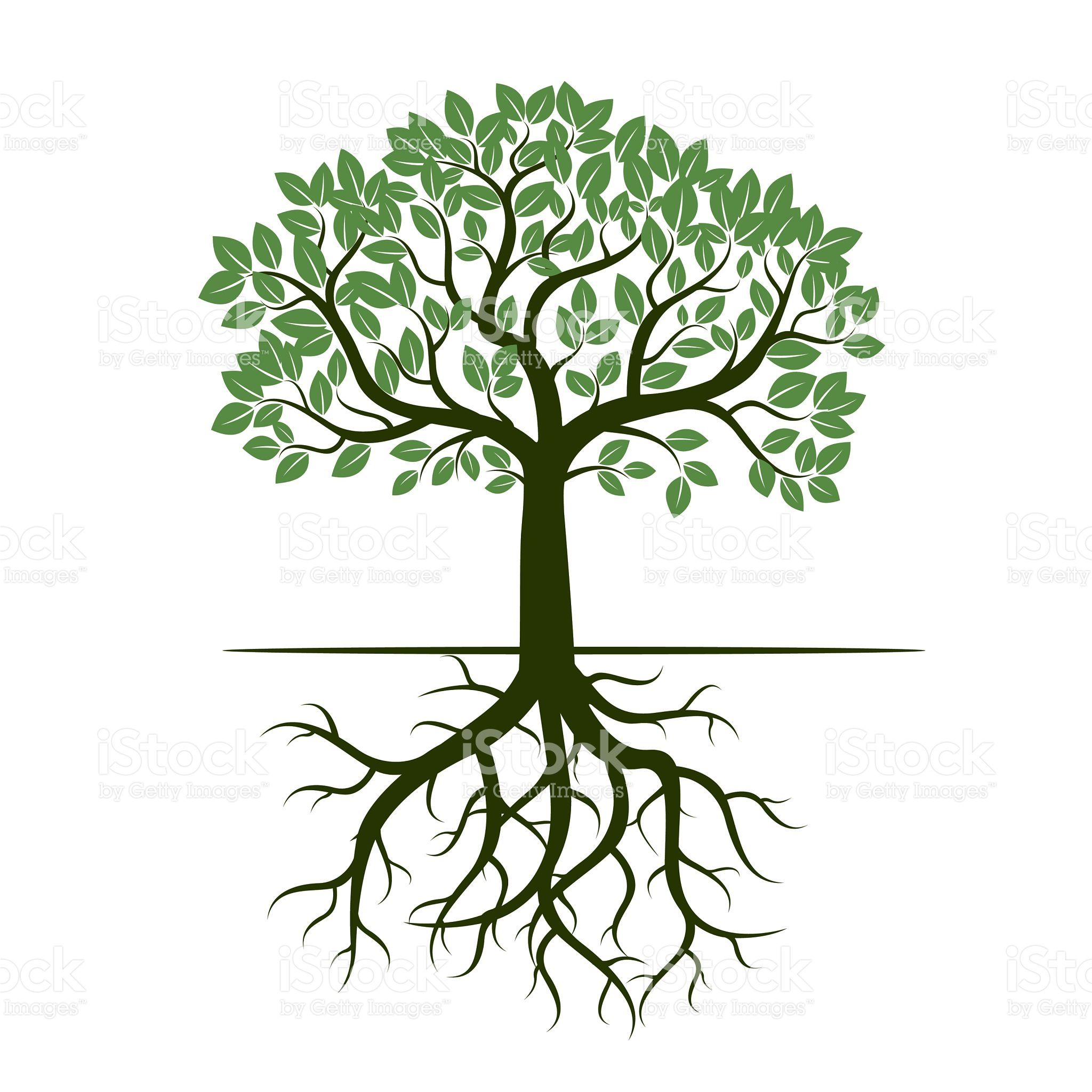 Green Tree And Roots Vector Illustration Tree 2048x2048 Green Tree And Roots Vector Illustration Tree