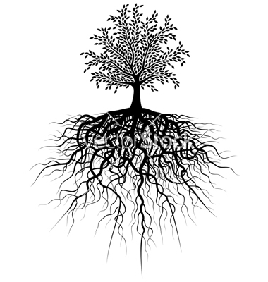 Tree Roots Vector Free
