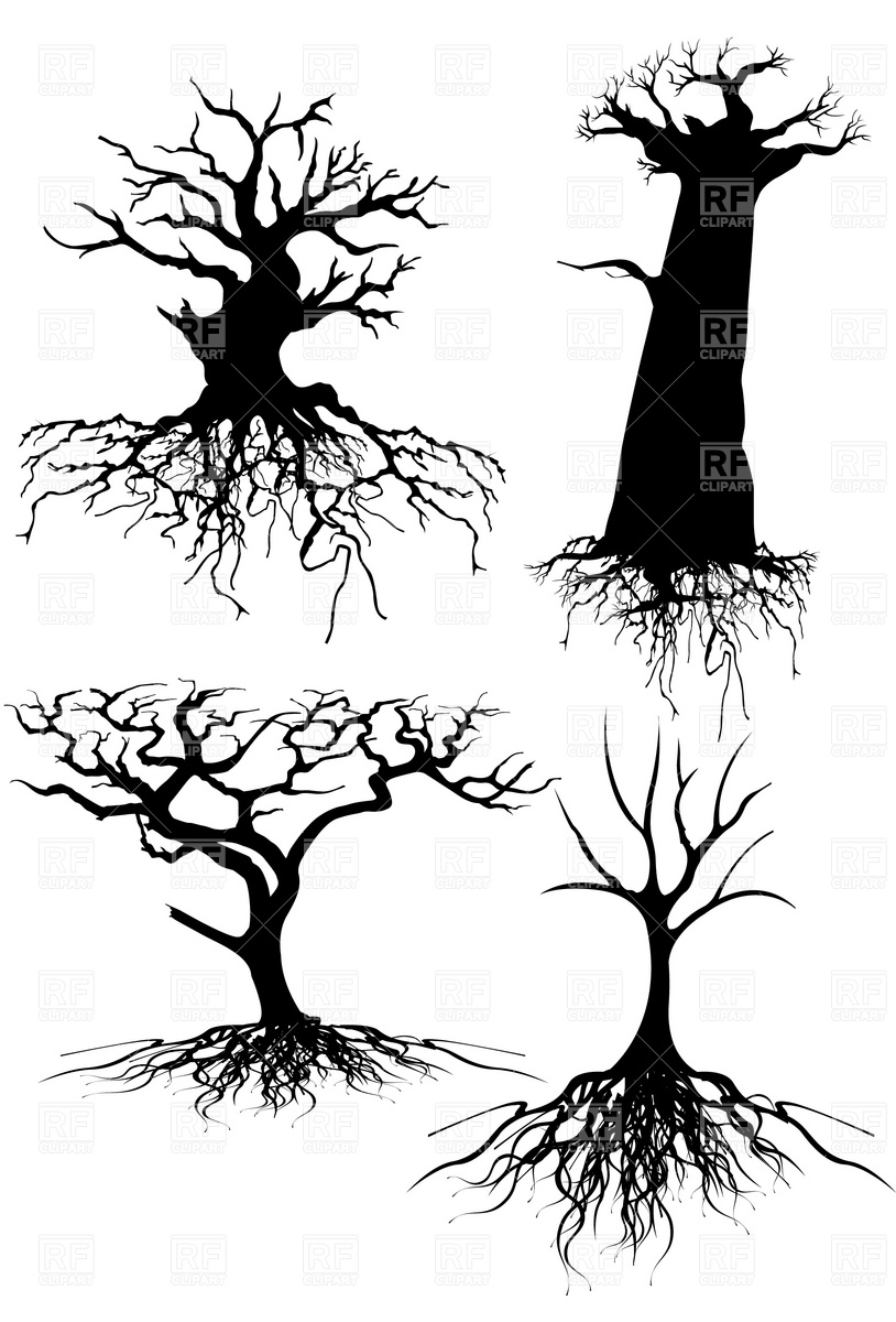 814x1200 Old Tree Silhouettes With Roots Vector Image Of Plants And Animals