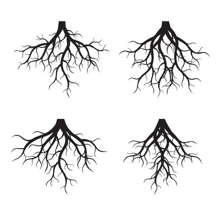 450x450 Set Of Black Tree Roots Vector Illustration Royalty Free Vector