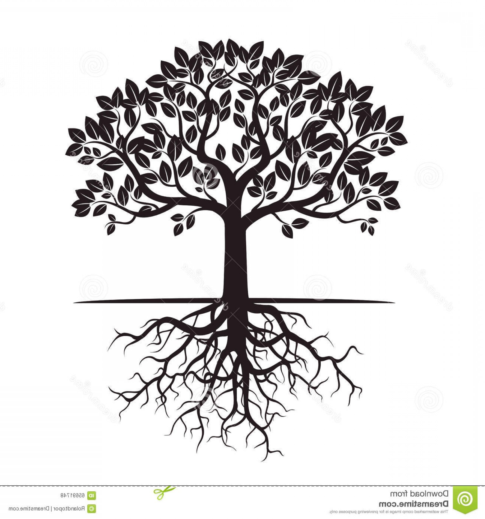 1560x1668 Stock Illustration Black Tree Roots Vector Illustration Graphic