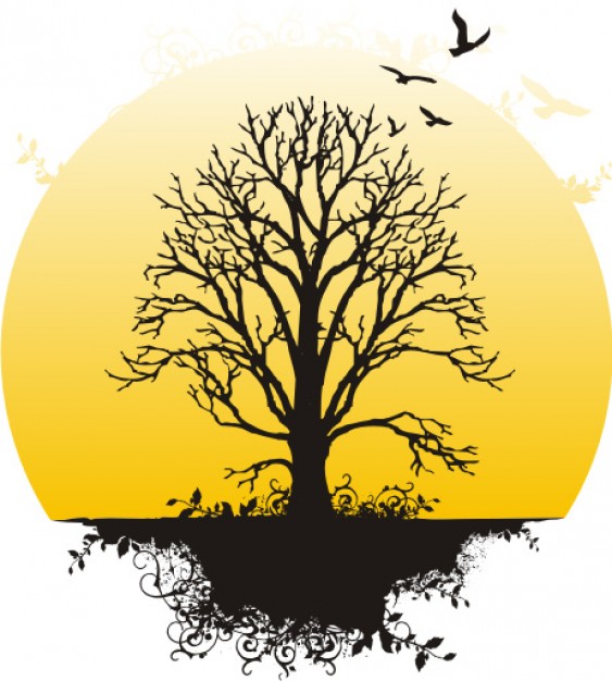 563x626 Tree Roots Vector Vectors, Photos And Free Download