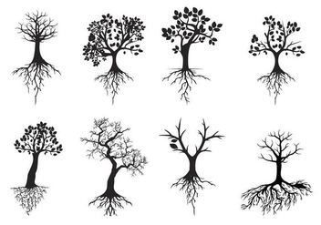 352x247 Tree With Roots Vector Free Vector Download Cannypic