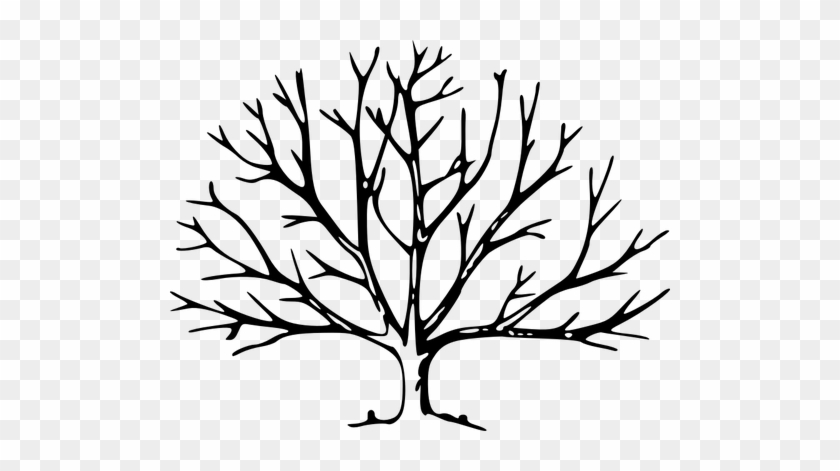 840x471 Tree With Roots Vector Graphics