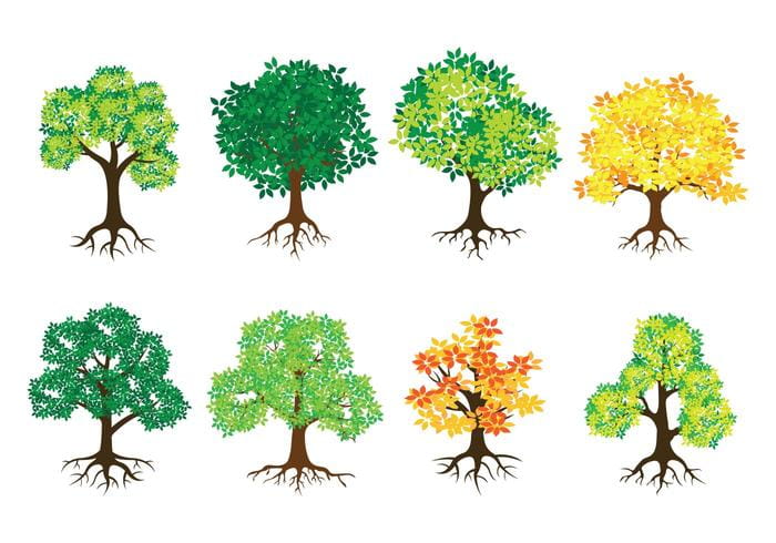 700x490 Tree With Roots Vector Icons Free Graphics Uihere