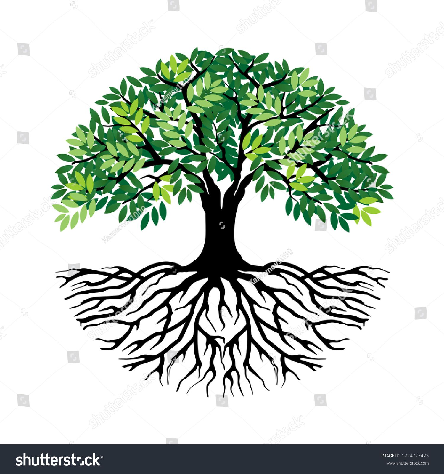 Tree Roots Vector Free at Vectorified.com | Collection of Tree Roots ...