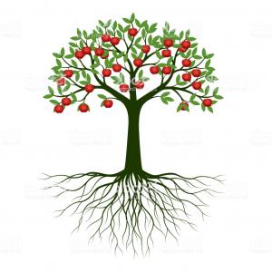 300x300 Free Vector Image Of Tree With Roots Catchsplace