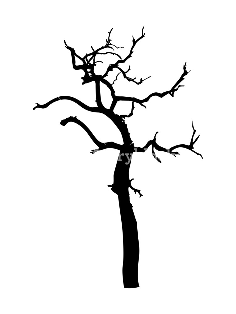 Dead Tree Shape Vector Royalty Free Stock Image 751x1000 Dead Tree Shape Vector Royalty Free Stock Image