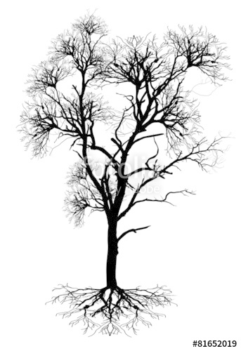Dead Tree Shape Vector Stock Image And Royalty Free Vector 343x500 Dead Tree Shape Vector Stock Image And Royalty Free Vector
